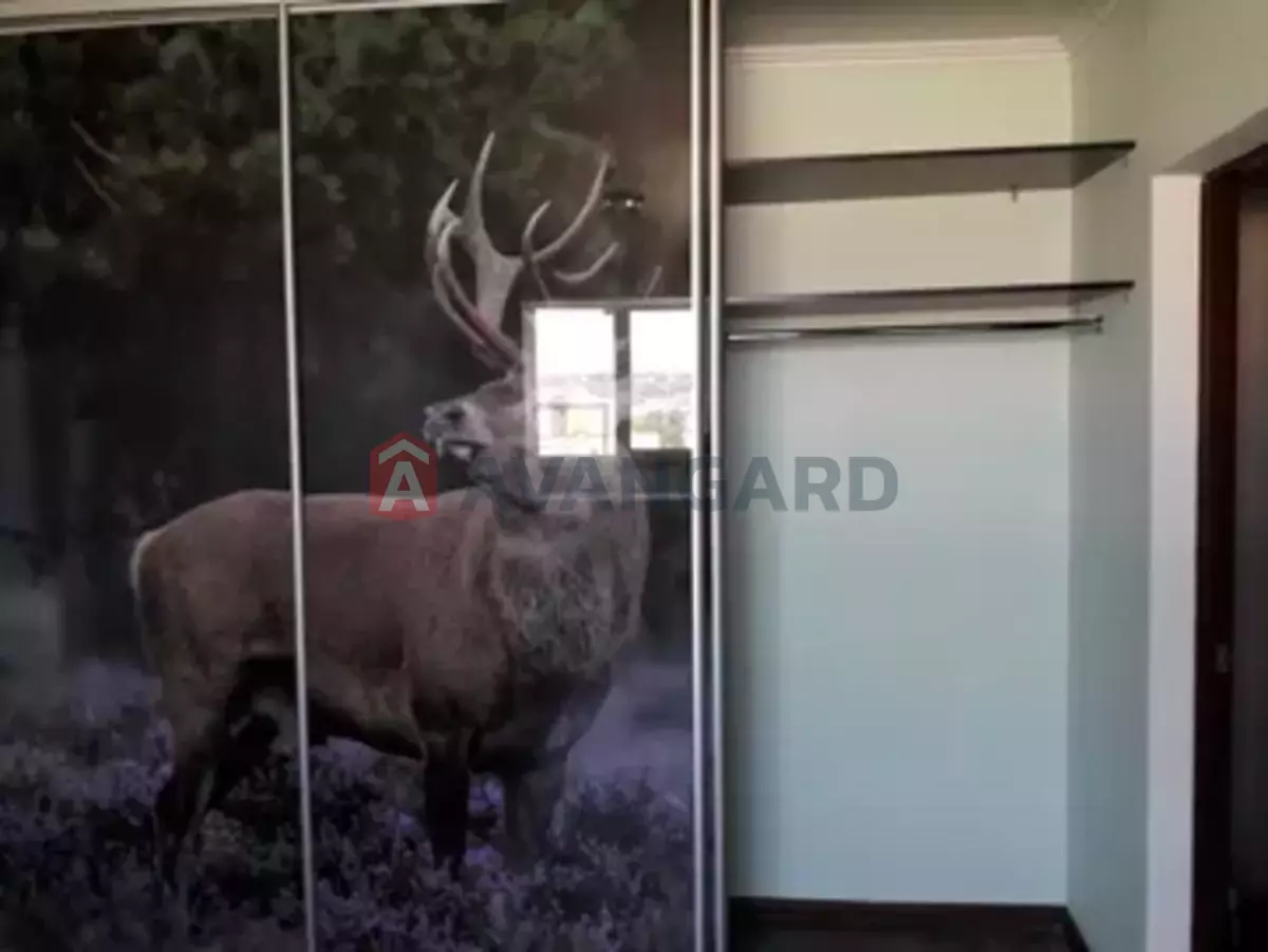 2 ����. ��������, 56/-/9 ��. �., 16/16 ���� ���� 3