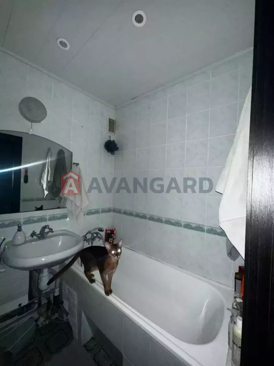 1 ����. ��������, 40/28/8 ��. �., 1/10 ���� ���� 7