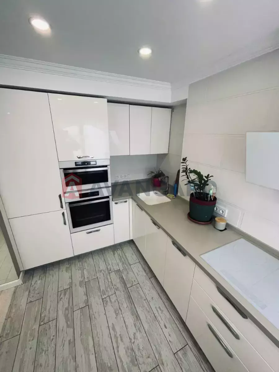 3 . , 62/-/- . ., 5/10   2