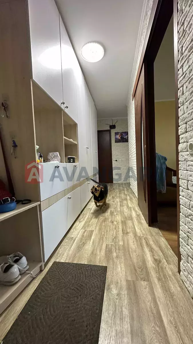 3 . , 68/-/20 . ., 10/10   3