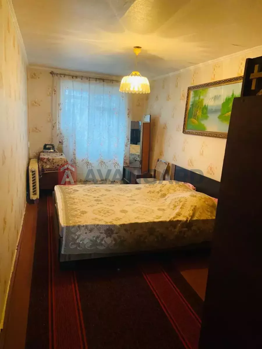 3 ��. ��������, 56/-/6 ��. �., 5/5 ������ ���� 3