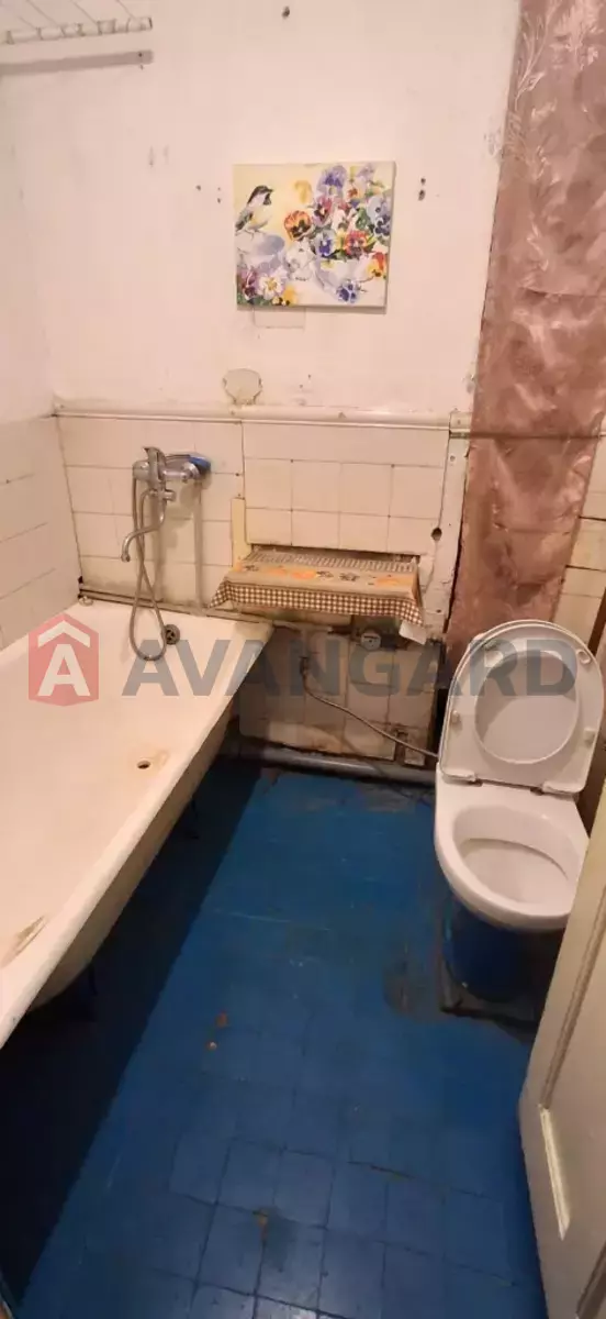 3 ��. ��������, 54/-/- ��. �., 2/2 ������ ���� 10