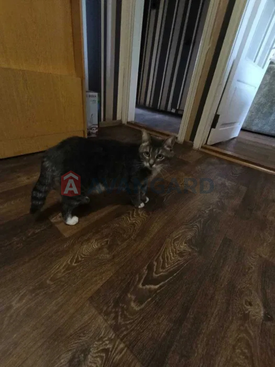 2 ����. ��������, 64/-/9 ��. �., 6/9 ���� ���� 8