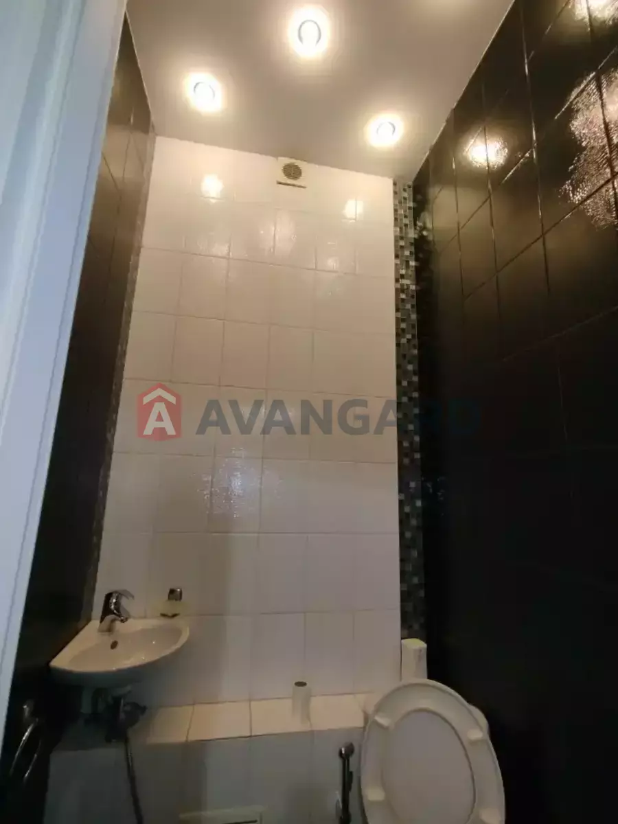 1 ��. ��������, 53/-/20 ��. �., 3/3 ������ ���� 29