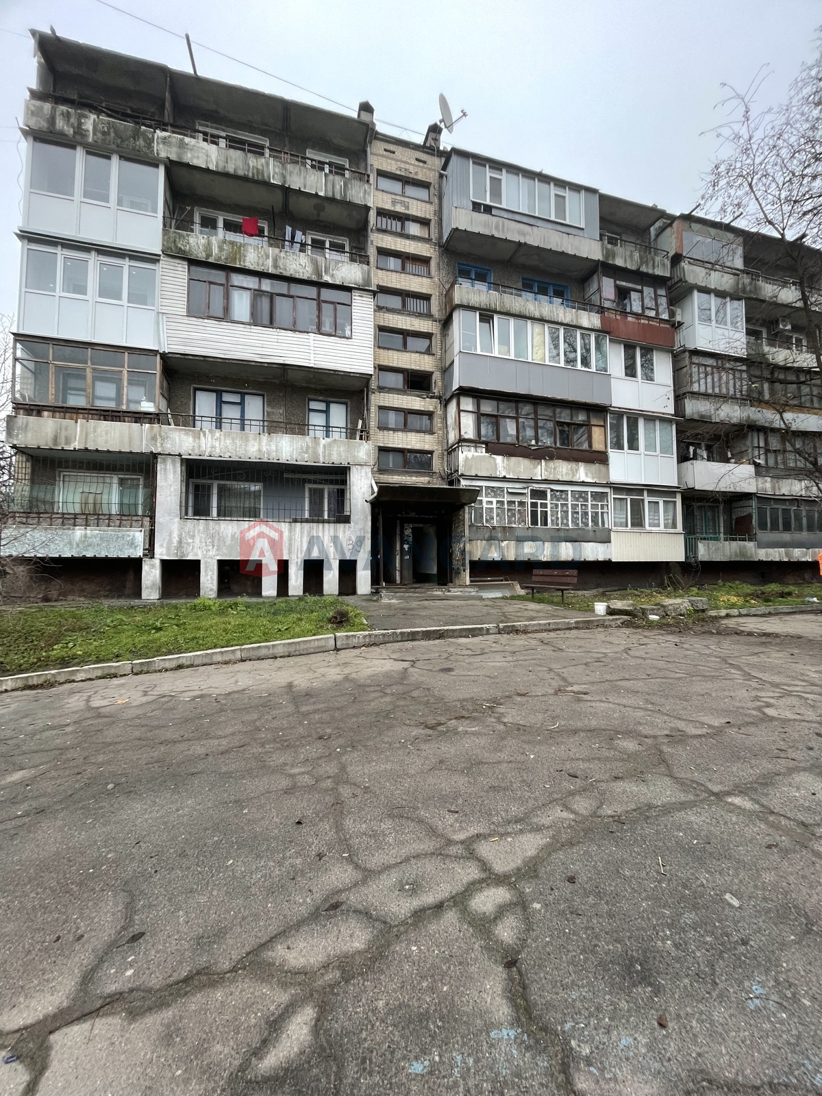 1 ��. ��������, 24/13/5 ��. �., 1/5 ������ ���� 10