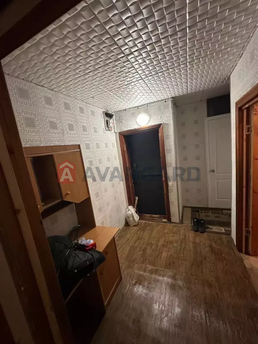 3 ��. ��������, 52/-/6 ��. �., 5/5 ������ ���� 6