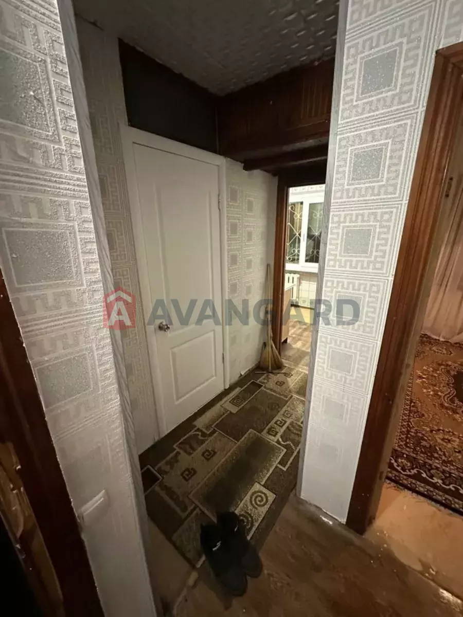 3 ��. ��������, 52/-/6 ��. �., 5/5 ������ ���� 3