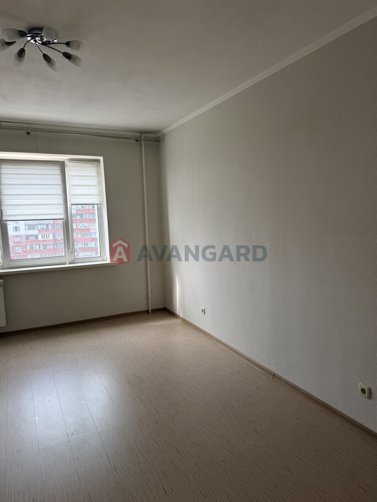 2 ����. ��������, 53/-/- ��. �., 14/16 ���� ���� 18