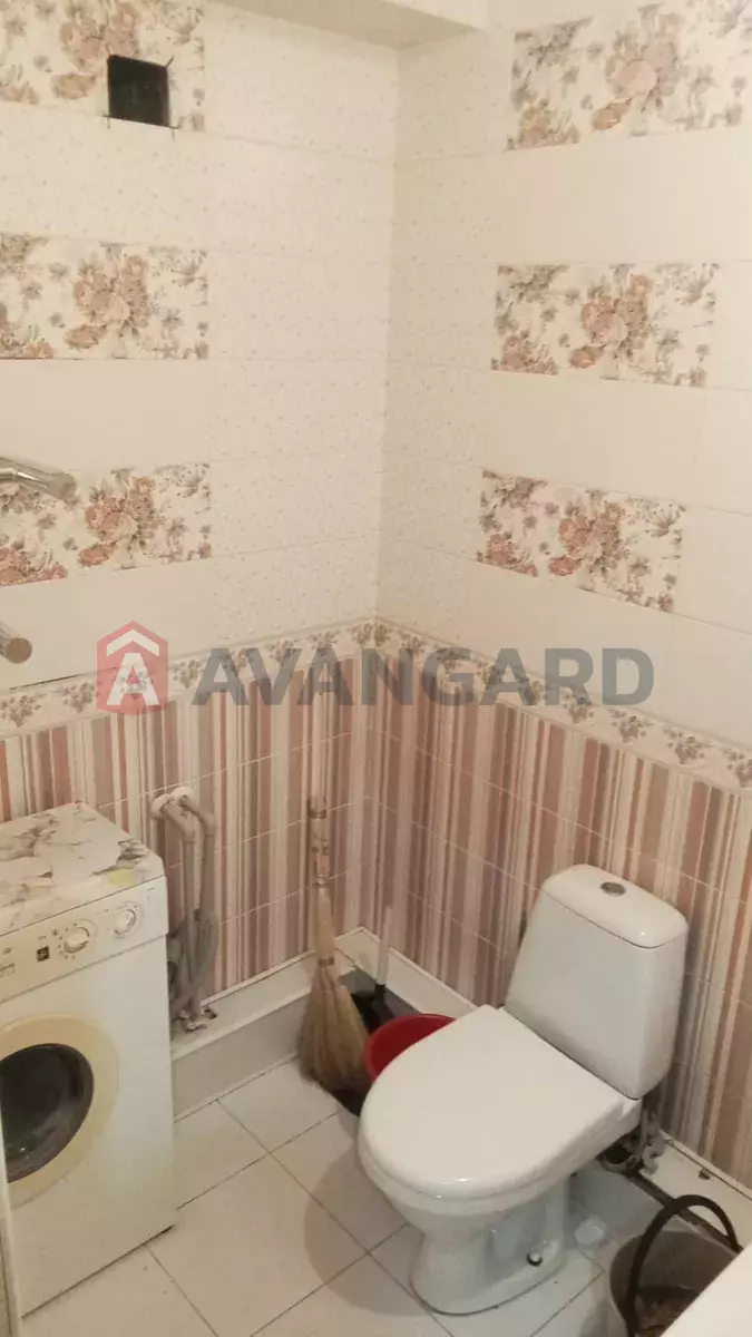 3 ����. ��������, 55/-/12 ��. �., 5/5 ���� ���� 5