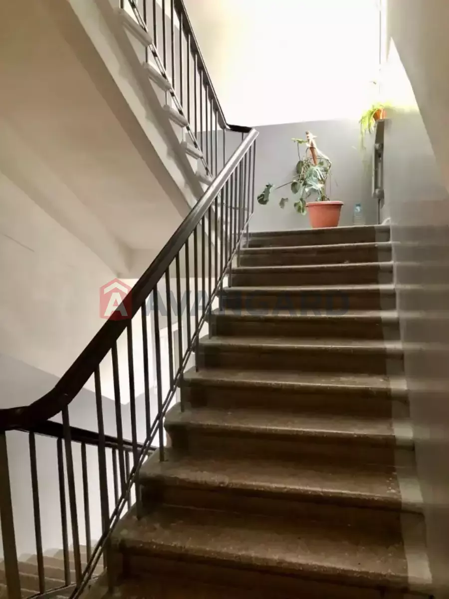 3 ��. ��������, 66/46/13 ��. �., 4/7 ������ ���� 15