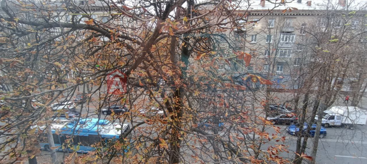 1 ����. ��������, 38/18/6 ��. �., 4/5 ���� ���� 13