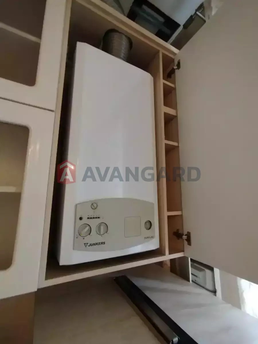 1 ��. ��������, 53/-/20 ��. �., 3/3 ������ ���� 15