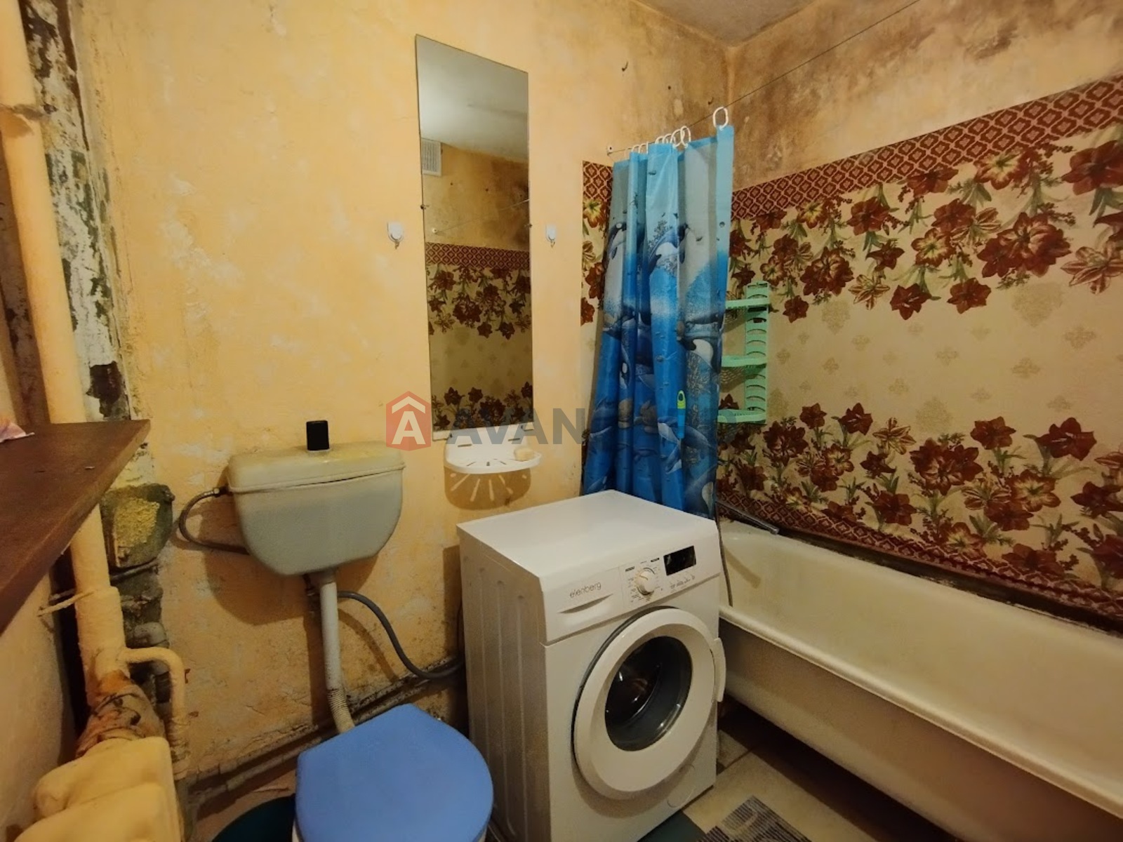 1 ��. ��������, 36/9/18 ��. �., 23/26 ������ ���� 4