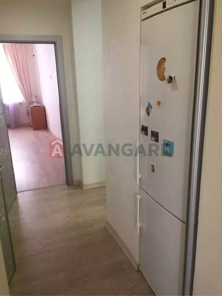 3 ����. ��������, 80/-/15 ��. �., 2/5 ���� ���� 7