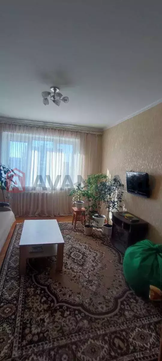 3 ��. ��������, 64/-/12 ��. �., 10/10 ������ ���� 15