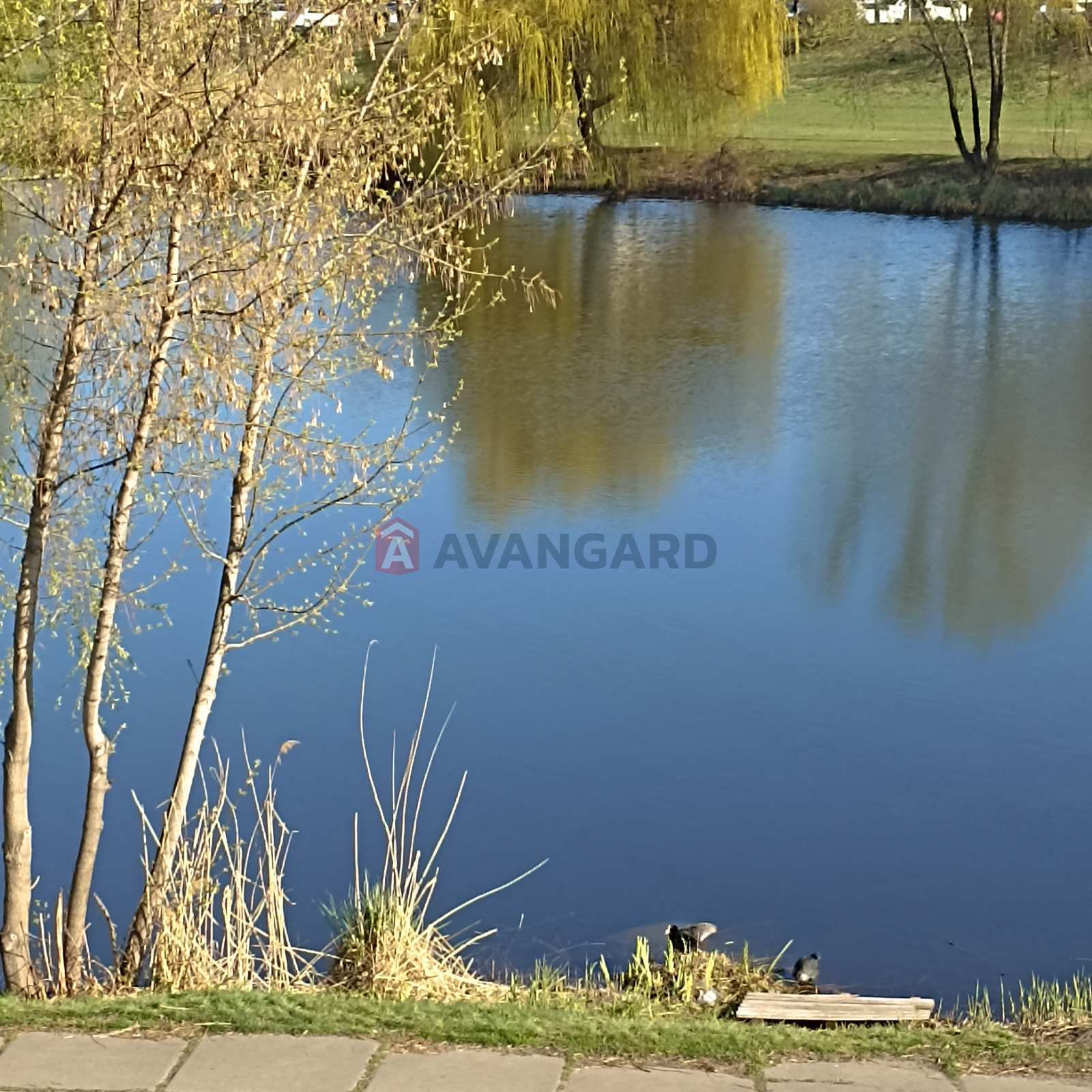 2 ��. ��������, 53/-/- ��. �., 14/15 ������ ���� 21