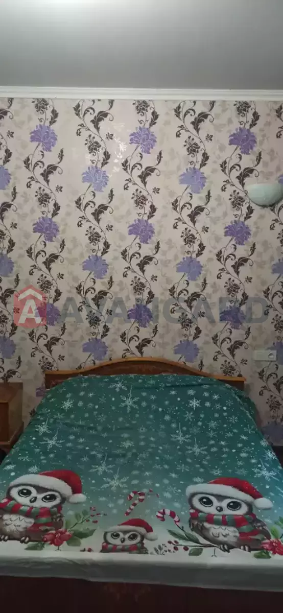 1 ��. ��������, 32/-/- ��. �., 1/2 ������ ���� 1