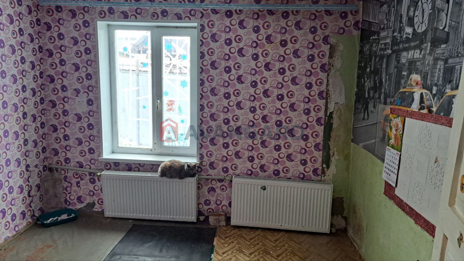 3 ��. ��������, 42/-/5 ��. �., 1/1 ������ ���� 2