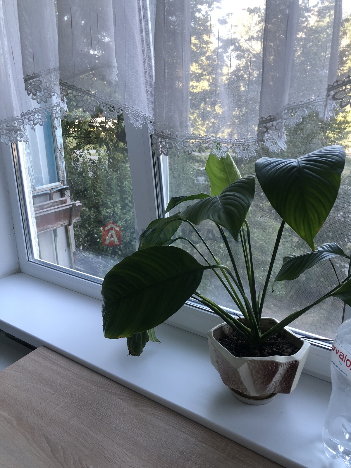 1 ��. ��������, 32/15/7 ��. �., 2/5 ������ ���� 13