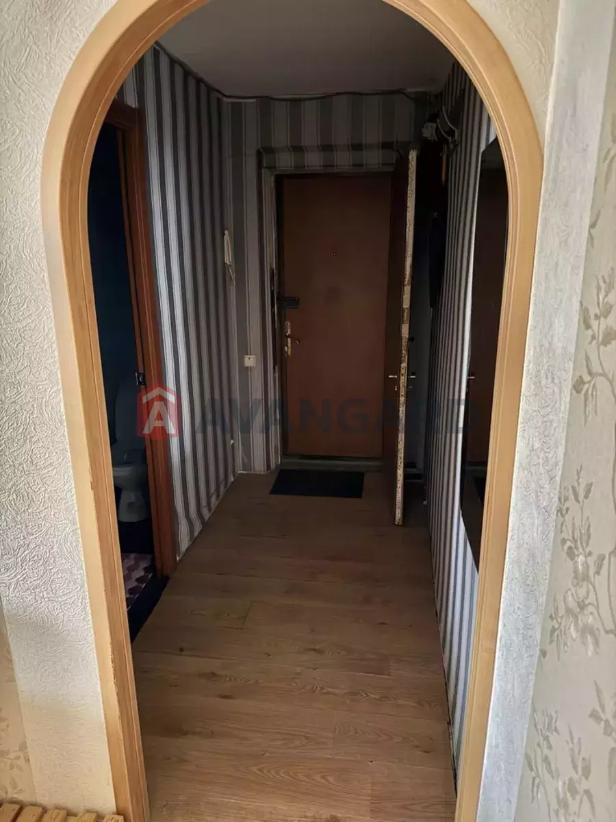 3 ����. ��������, 43/-/6 ��. �., 1/5 ���� ���� 6