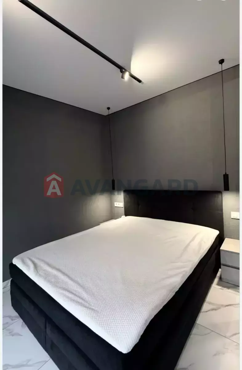 2 . , 53/-/- . ., 6/24   6