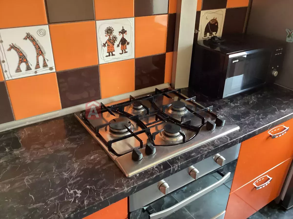 2 ��. ��������, 51/-/9 ��. �., 8/9 ������ ���� 11