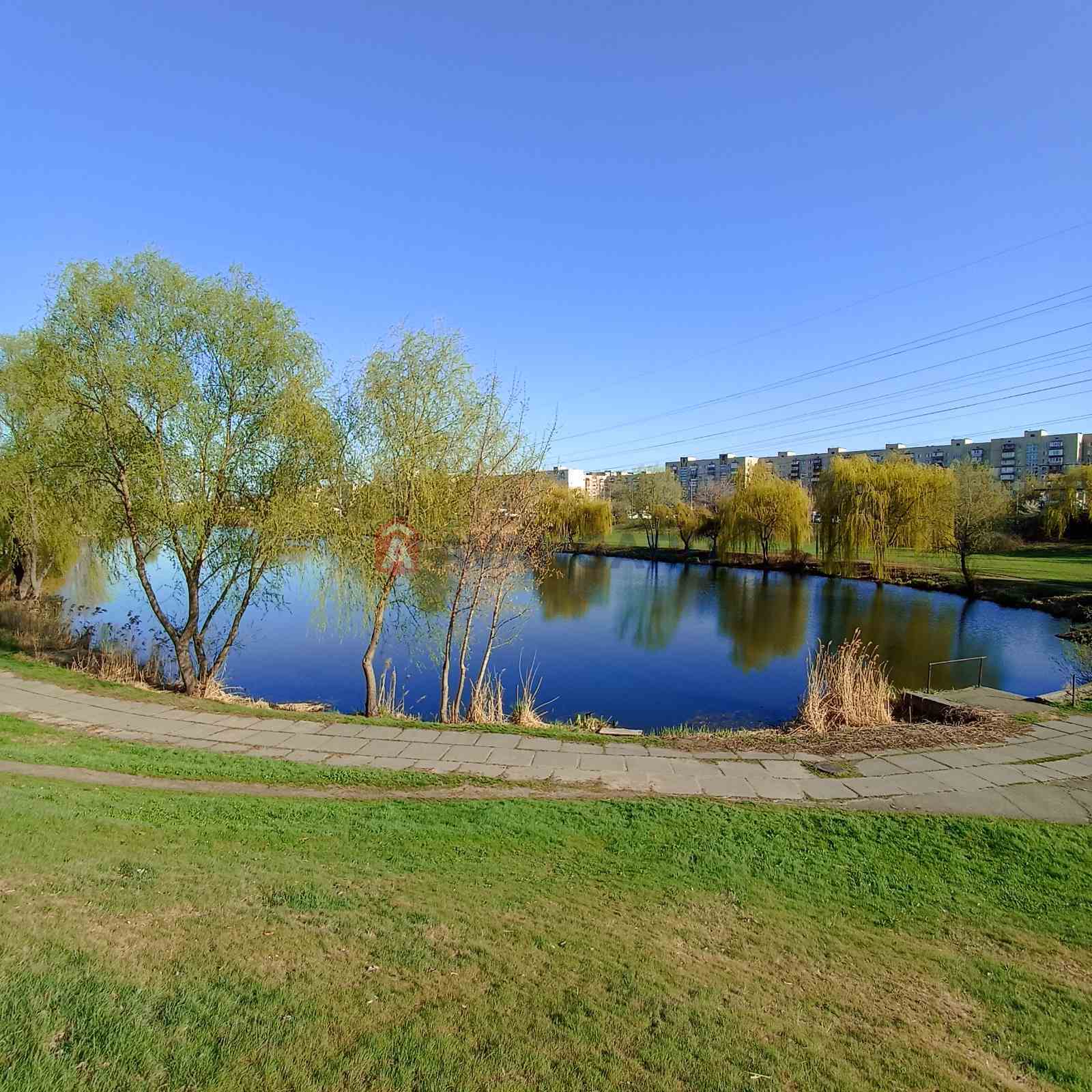 2 ��. ��������, 53/-/- ��. �., 14/15 ������ ���� 22