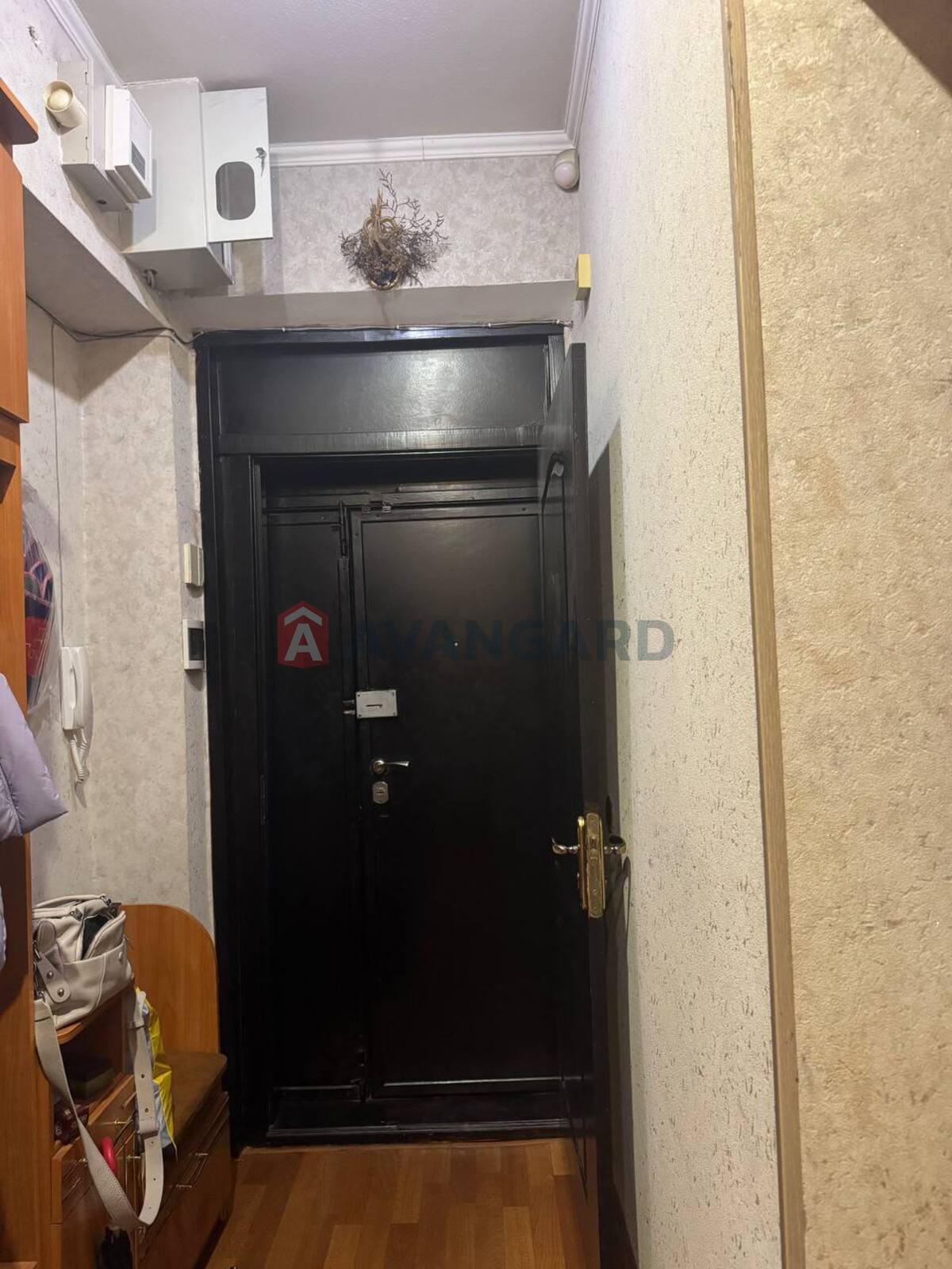 3 ��. ��������, 73/10/55 ��. �., 4/4 ������ ���� 2