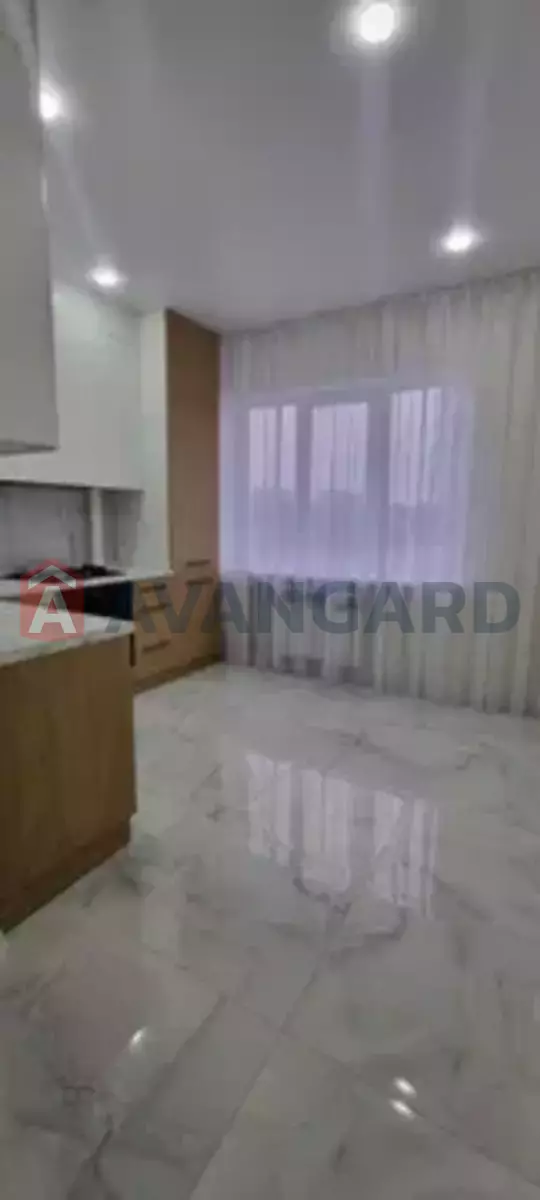 3 ��. ��������, 77/-/- ��. �., 6/11 ������ ���� 2