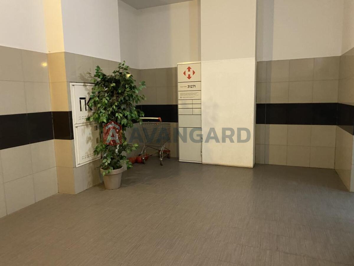 4 ��. ��������, 160/-/25 ��. �., 8/12 ������ ���� 8