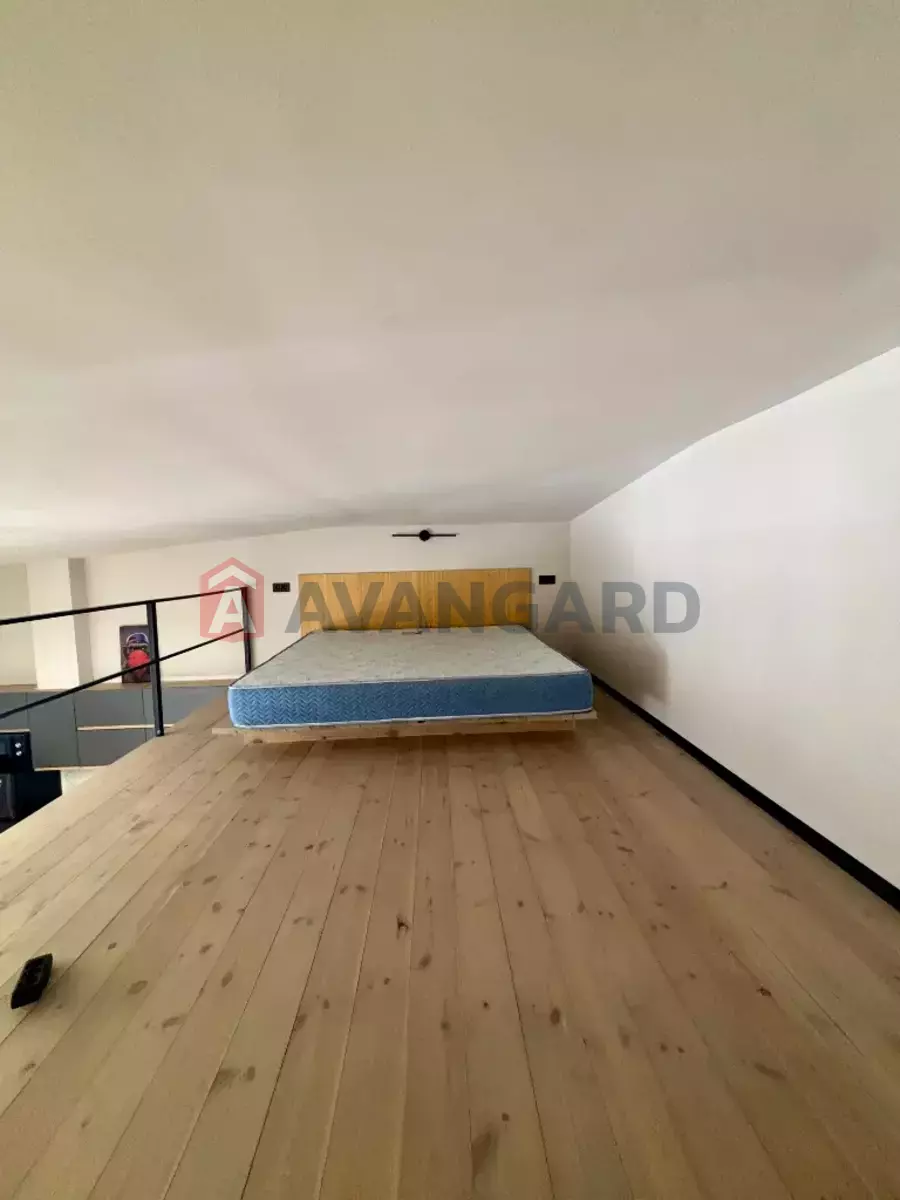 2 ����. ��������, 55/42/- ��. �., 5/5 ���� ���� 10