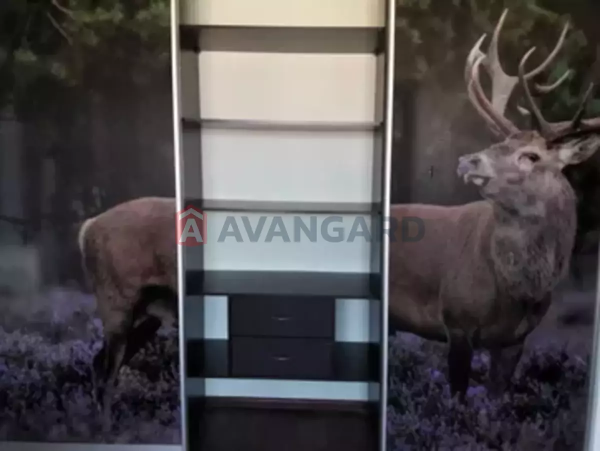 2 ����. ��������, 56/-/9 ��. �., 16/16 ���� ���� 4