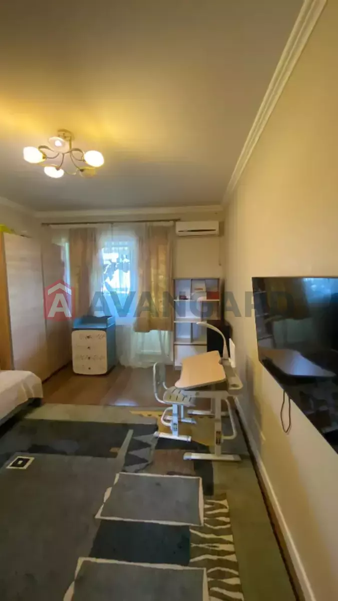 3 ��. ��������, 77/-/- ��. �., 5/5 ������ ���� 11