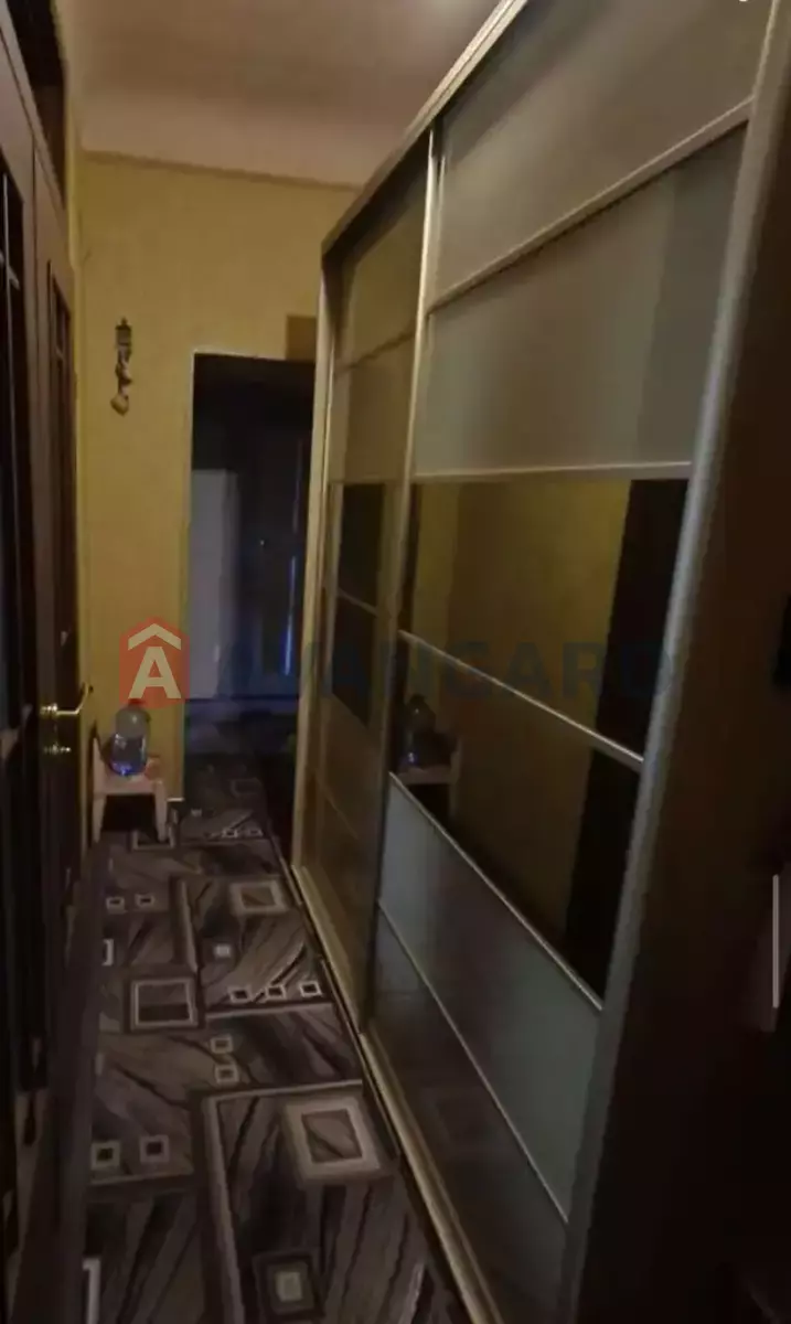 1 ��. ��������, 50/20/8 ��. �., 5/5 ������ ���� 3
