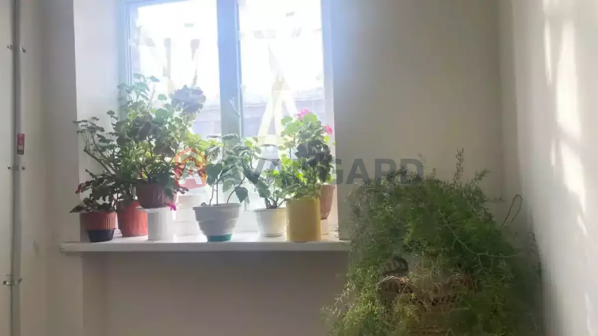 3 ��. ��������, 57/45/6 ��. �., 7/9 ������ ���� 21