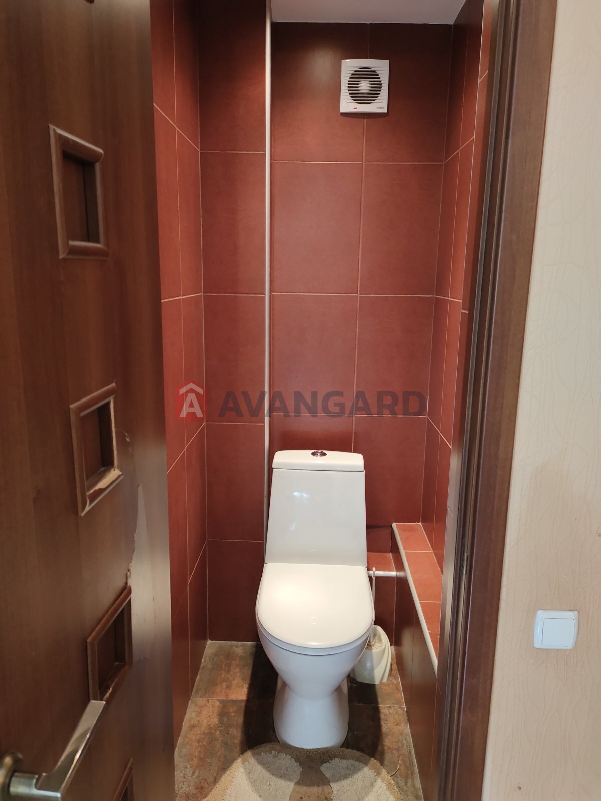 3 ����. ��������, 80/50/10 ��. �., 6/14 ���� ���� 7