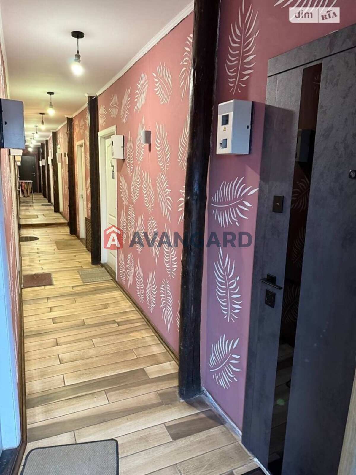 1 ����. ��������, 14/11/5 ��. �., 2/2 ���� ���� 3