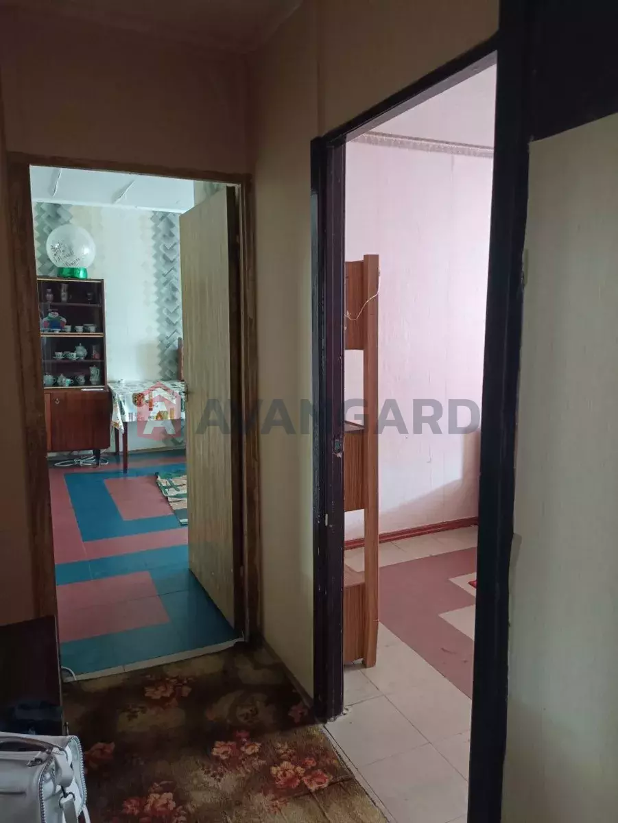 3 ����. ��������, 65/-/8 ��. �., 4/9 ���� ���� 3