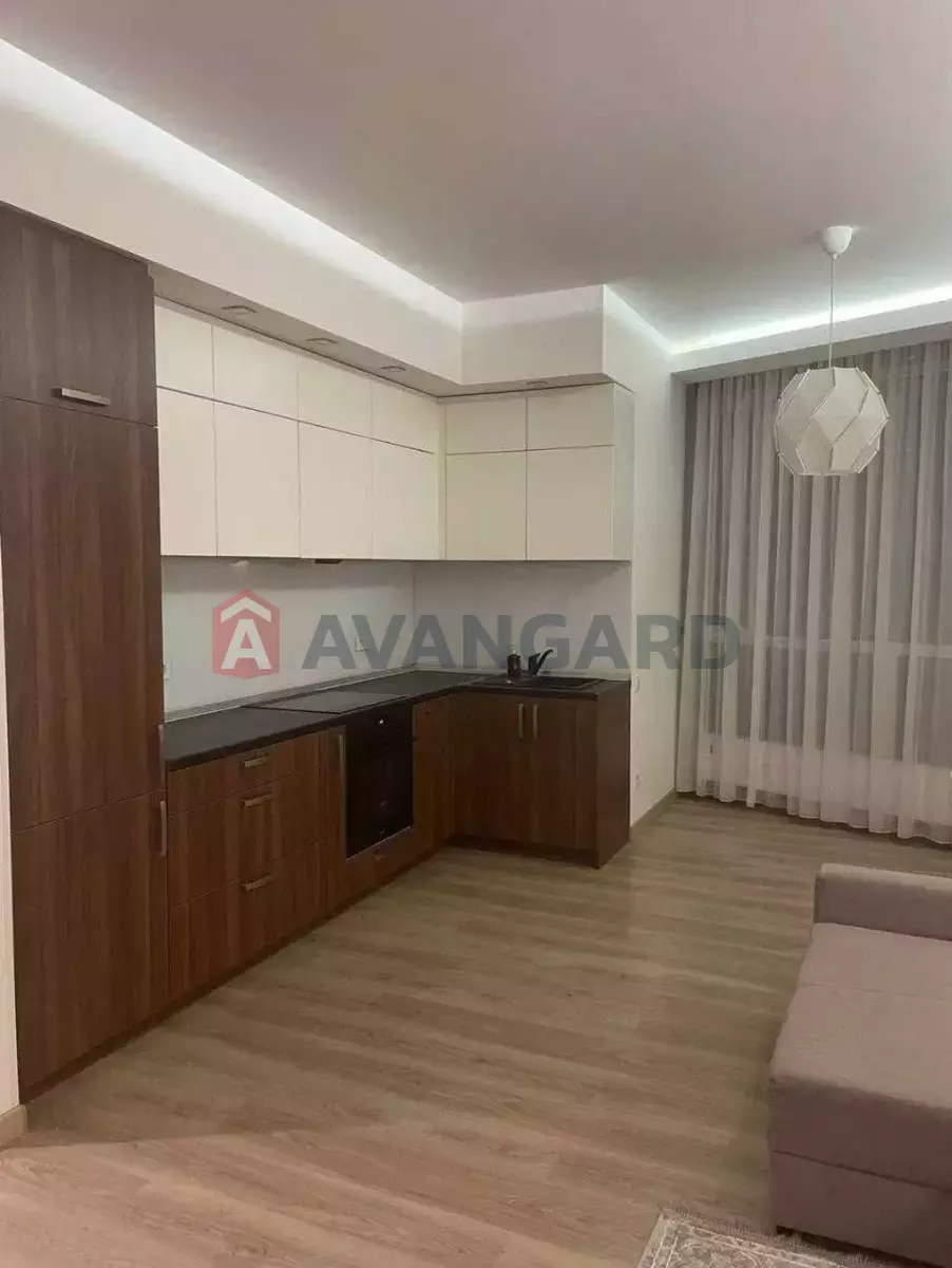 3 ��. ��������, 82/-/- ��. �., 17/24 ������ ���� 7