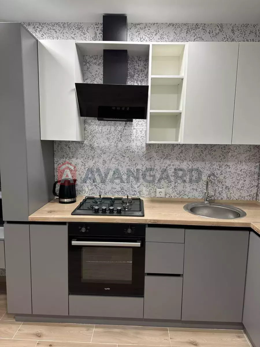 1 ��. ��������, 42/-/17 ��. �., 2/10 ������ ���� 3