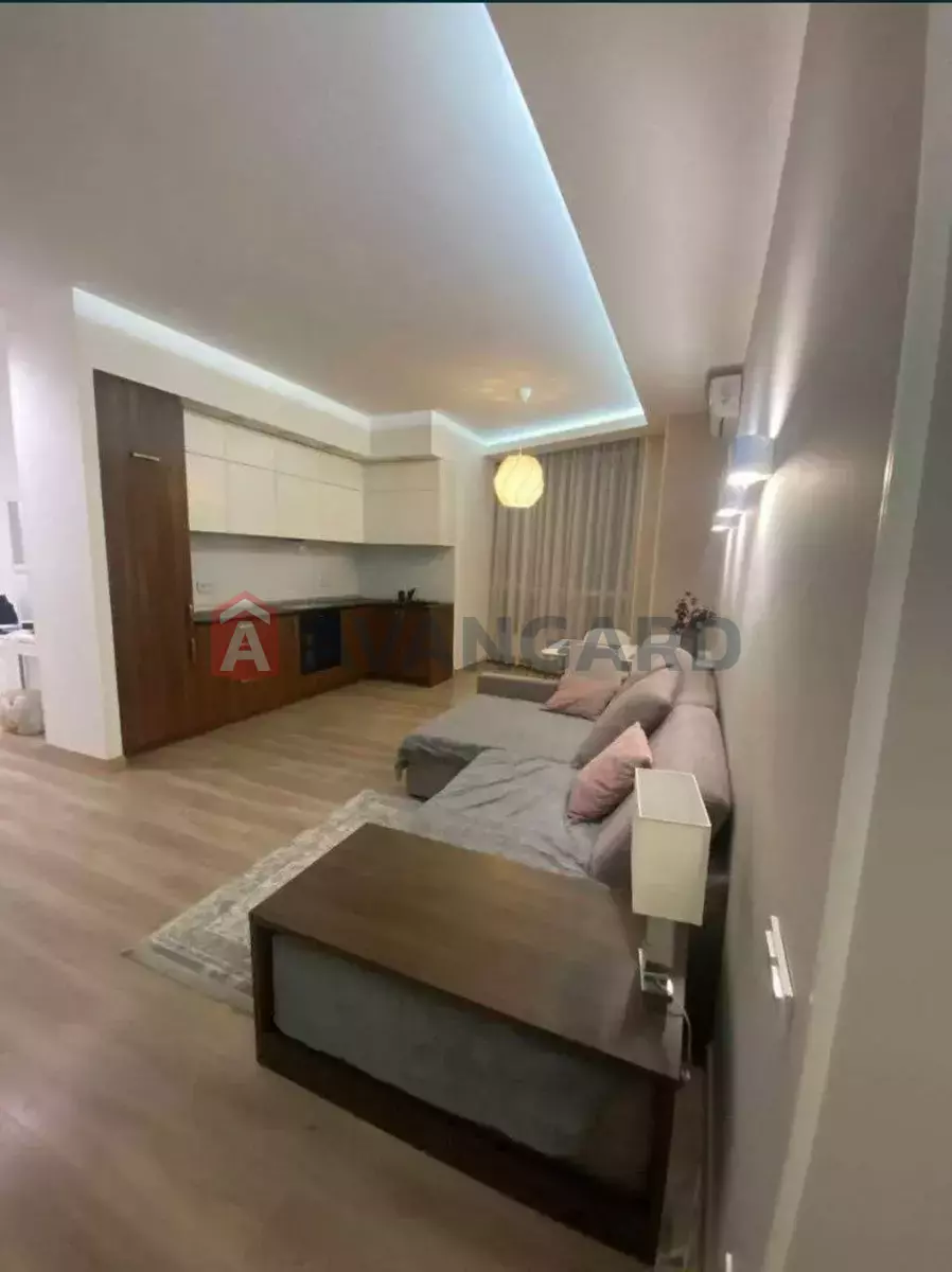 3 ��. ��������, 82/-/- ��. �., 17/24 ������ ���� 2