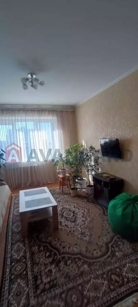 3 ��. ��������, 64/-/12 ��. �., 10/10 ������ ���� 4