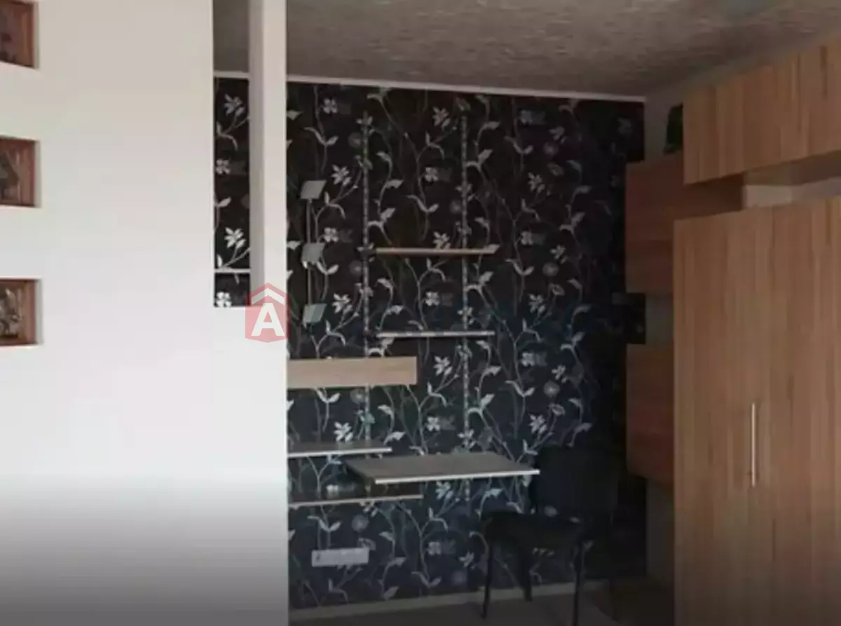 1 ����. ��������, 50/38/12 ��. �., 10/17 ���� ���� 6