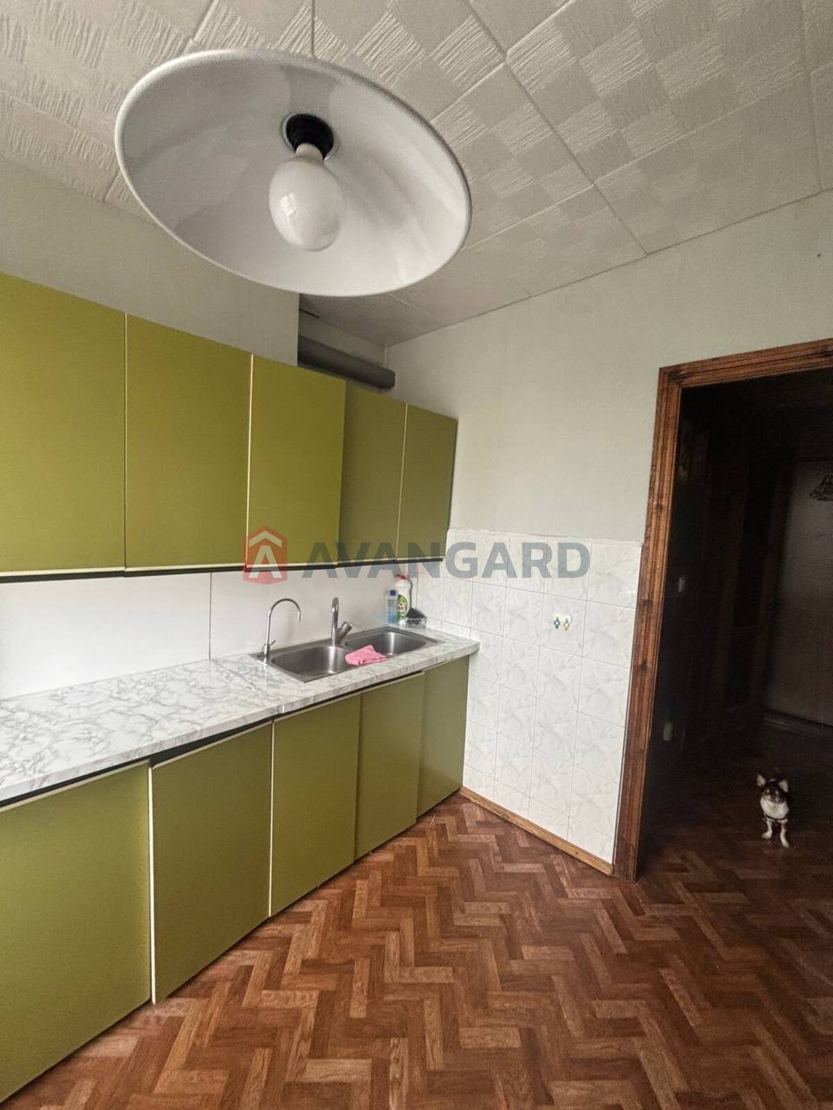 2 . , 50/-/- . ., 9/9   3