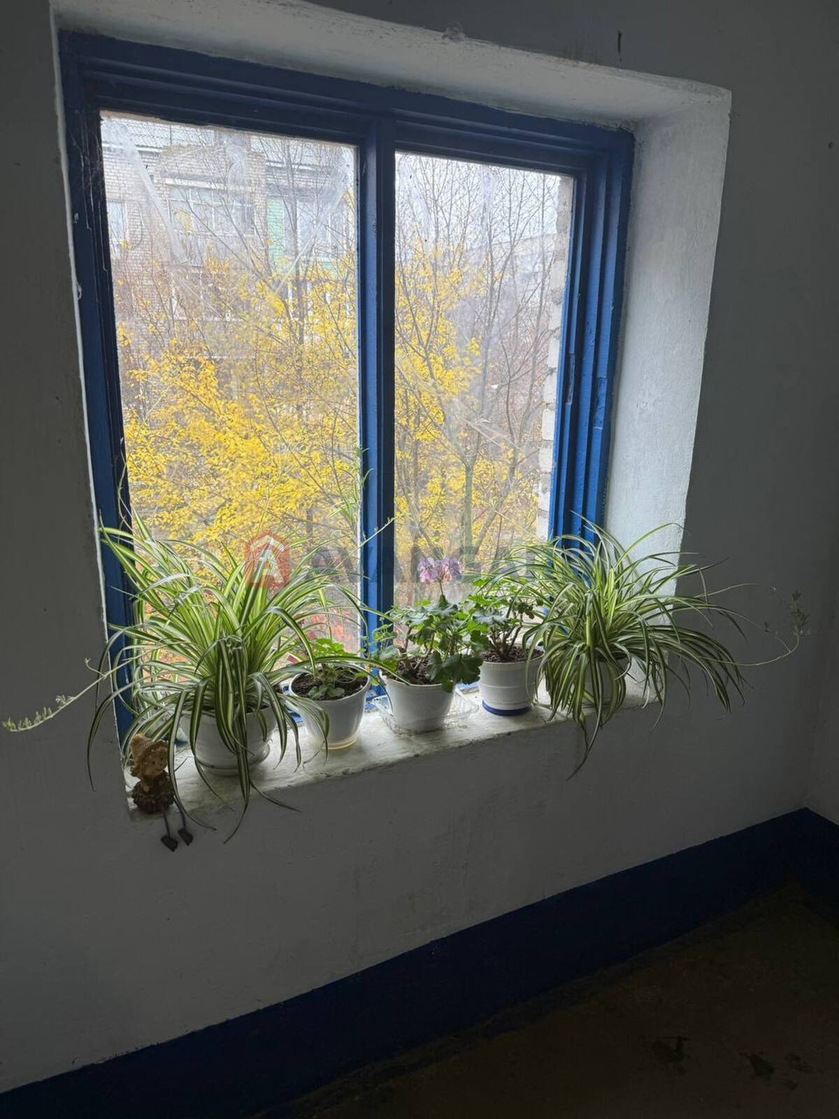 1 ��. ��������, 33/17/7 ��. �., 4/5 ������ ���� 14