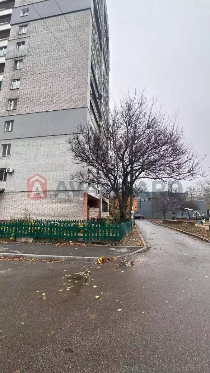 3 ����. ��������, 72/46/9 ��. �., 2/16 ���� ���� 13