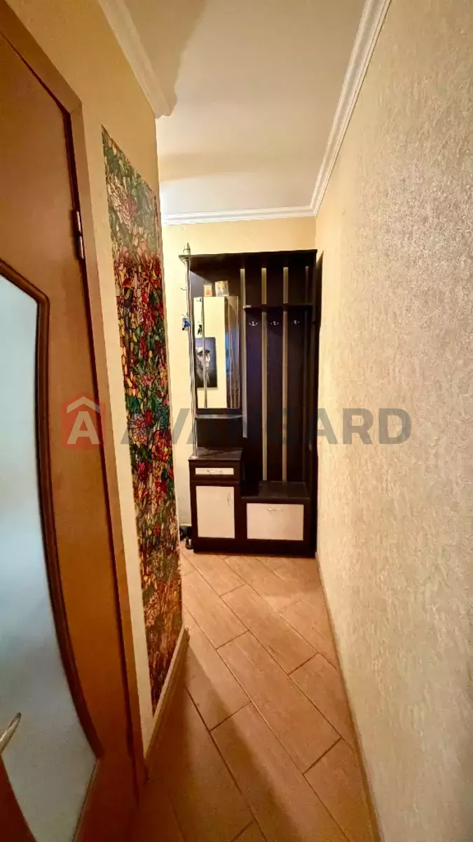 1 ����. ��������, 37/-/10 ��. �., 5/5 ���� ���� 5