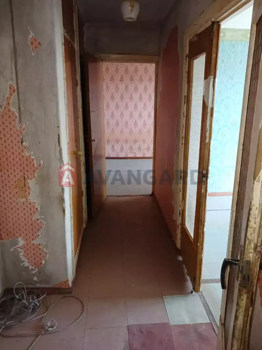 2 ����. ��������, 50/29/8 ��. �., 1/9 ���� ���� 6