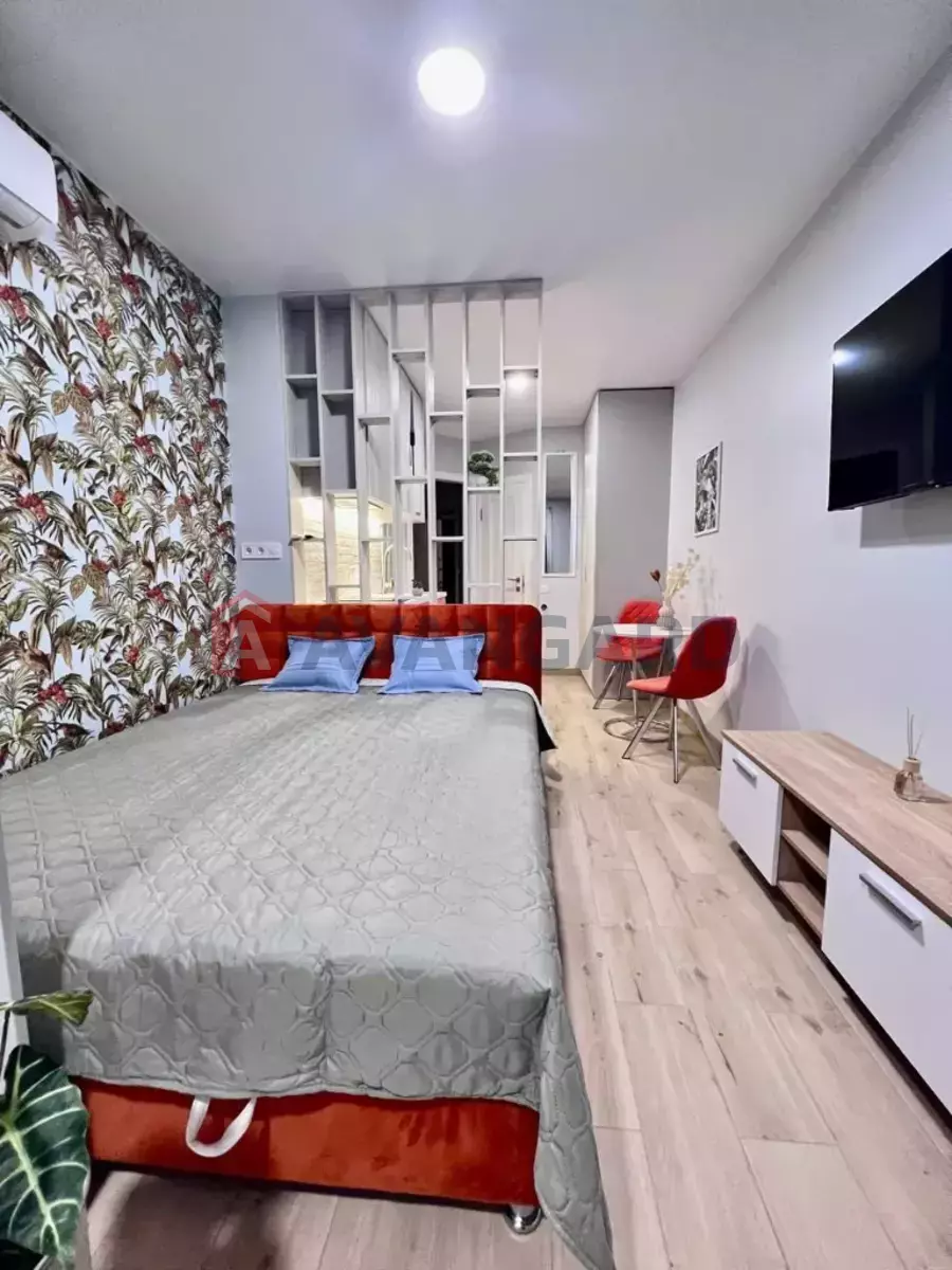 1 ����. ��������, 24/10/4 ��. �., 9/9 ���� ���� 1