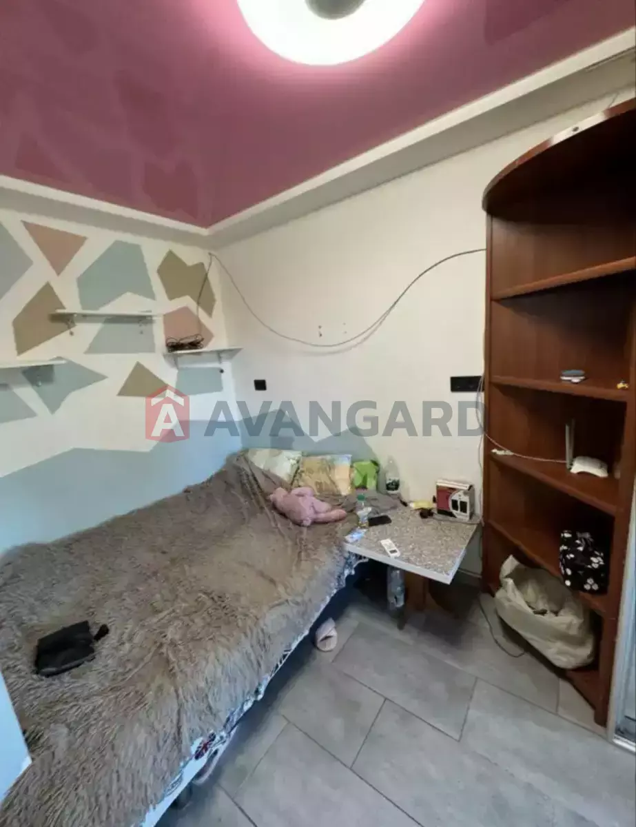 1 ��. ��������, 31/20/5 ��. �., 9/9 ������ ���� 7